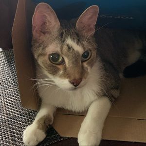 Meet your Posher, Ashley